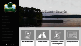 What Forsythco.com website looked like in 2022 (2 years ago)