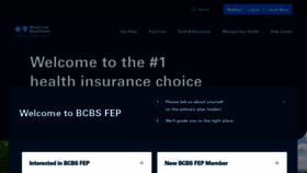 What Fepblue.org website looked like in 2022 (2 years ago)
