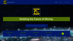 What Flexmine.net website looked like in 2022 (2 years ago)