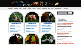 What Fermagid.ru website looked like in 2022 (2 years ago)