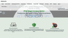 What Freesslvpn.us website looked like in 2022 (2 years ago)