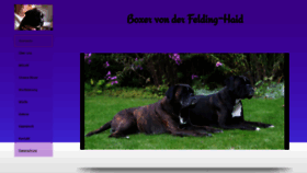 What Felding-haid.de website looked like in 2022 (1 year ago)