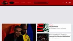 What Flamengorj.com.br website looked like in 2022 (1 year ago)