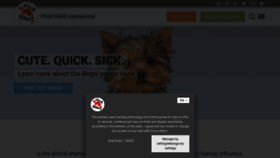 What Four-paws.org website looked like in 2022 (3 years ago)