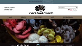 What Fieldforest.net website looked like in 2022 (1 year ago)