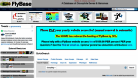 What Flybase.org website looked like in 2022 (1 year ago)