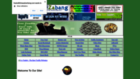 What Freetrafficfreeadvertising.com website looked like in 2022 (1 year ago)