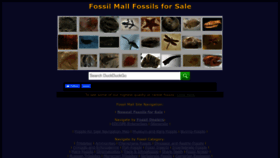 What Fossilmall.com website looked like in 2022 (1 year ago)