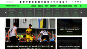 What Fnliga.cz website looked like in 2022 (1 year ago)
