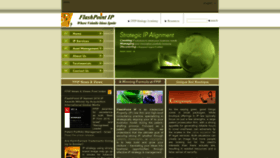What Flashpointip.com website looked like in 2022 (1 year ago)