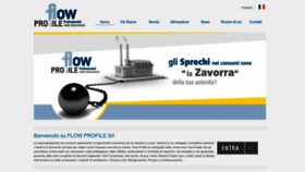 What Flowprofile.it website looked like in 2022 (1 year ago)