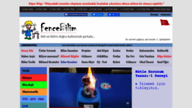 What Fencebilim.com website looked like in 2022 (1 year ago)