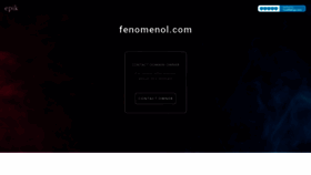 What Fenomenol.com website looked like in 2023 (1 year ago)