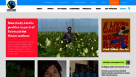 What Fairtrade.net website looked like in 2023 (1 year ago)