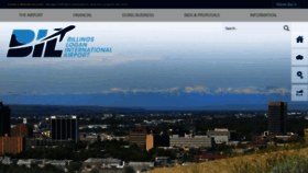What Flybillings.com website looked like in 2023 (1 year ago)