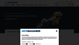 What Faulhaber.com website looked like in 2023 (1 year ago)