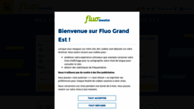 What Fluo.eu website looked like in 2023 (1 year ago)