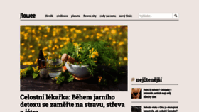 What Flowee.cz website looked like in 2023 (1 year ago)