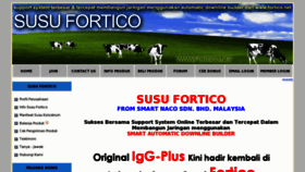 What Fortico.net website looked like in 2011 (13 years ago)