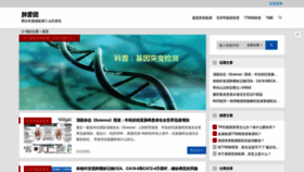 What Feiaituan.com website looked like in 2023 (This year)