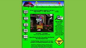 What Flamingoguy.com website looked like in 2023 (This year)