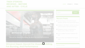 What Furfaceboy.com website looked like in 2023 (This year)