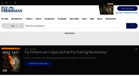 What Flyfisherman.com website looked like in 2023 (This year)