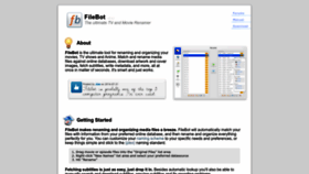 What Filebot.net website looked like in 2023 (This year)