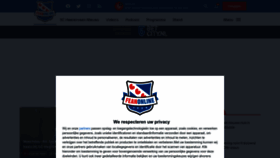 What Feanonline.nl website looked like in 2023 (This year)