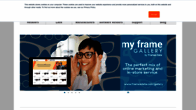 What Framesdata.com website looked like in 2023 (This year)
