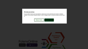 What Folensonline.ie website looked like in 2023 (This year)