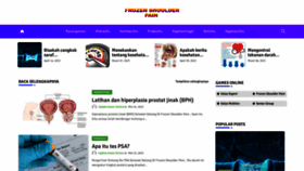 What Frozenshoulderpainblog.com website looked like in 2023 (This year)