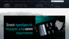 What Fes-shop.ru website looked like in 2023 (This year)