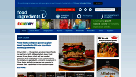What Foodingredientsfirst.com website looked like in 2023 (This year)