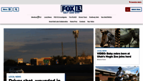 What Fox13now.com website looked like in 2023 (This year)