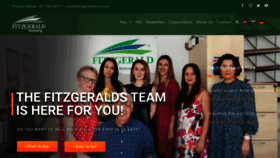 What Fitzgeraldcyprus.com website looked like in 2023 (This year)