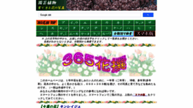 What Flower365.jp website looked like in 2023 (This year)