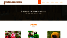 What Fumancang168.com website looked like in 2023 (This year)