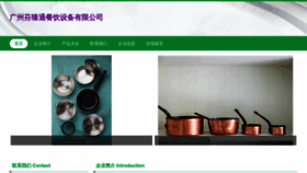 What Fenzhentong.com website looked like in 2023 (This year)