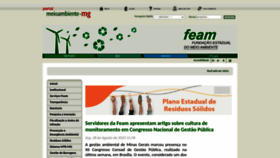 What Feam.br website looked like in 2023 (This year)