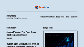 What Forexindo.com website looked like in 2023 (This year)