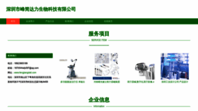 What Fengjiangdali.com website looked like in 2023 (This year)