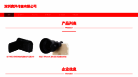 What Feiyangxinyue.com website looked like in 2023 (This year)