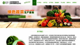 What Fengweigarden.com website looked like in 2023 (This year)
