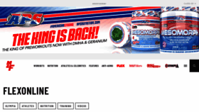 What Flexmagazine.com website looked like in 2023 (This year)