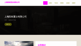 What Fuliztf.cn website looked like in 2023 (This year)