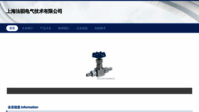 What Fairychoi.cn website looked like in 2023 (This year)