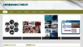 What Fvobaaj.cn website looked like in 2023 (This year)