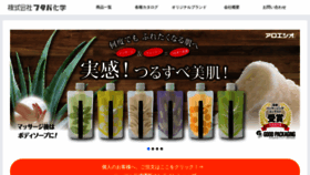 What Futaba-chemical.co.jp website looked like in 2023 (This year)