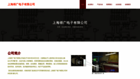 What Fy13ly.cn website looked like in 2023 (This year)
